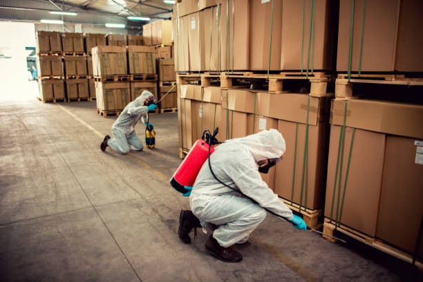 Best Flea Control Services  in Alva, OK