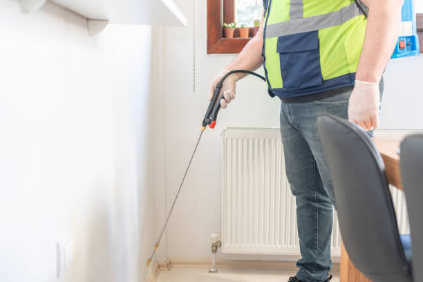 Best Rat Extermination Near Me  in Alva, OK