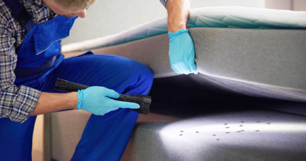 Best Pest Control Near Me  in Alva, OK